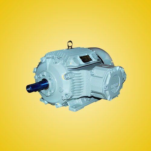 Crompton Electric Motors